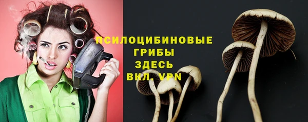 спиды Баксан
