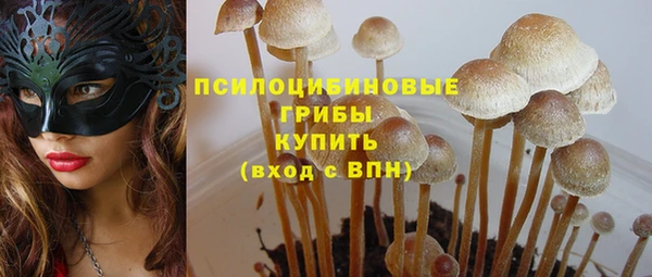 MDMA Premium VHQ Белокуриха