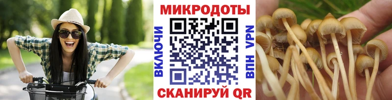 shop как зайти  Кодинск  Галлюциногенные грибы MAGIC MUSHROOMS 